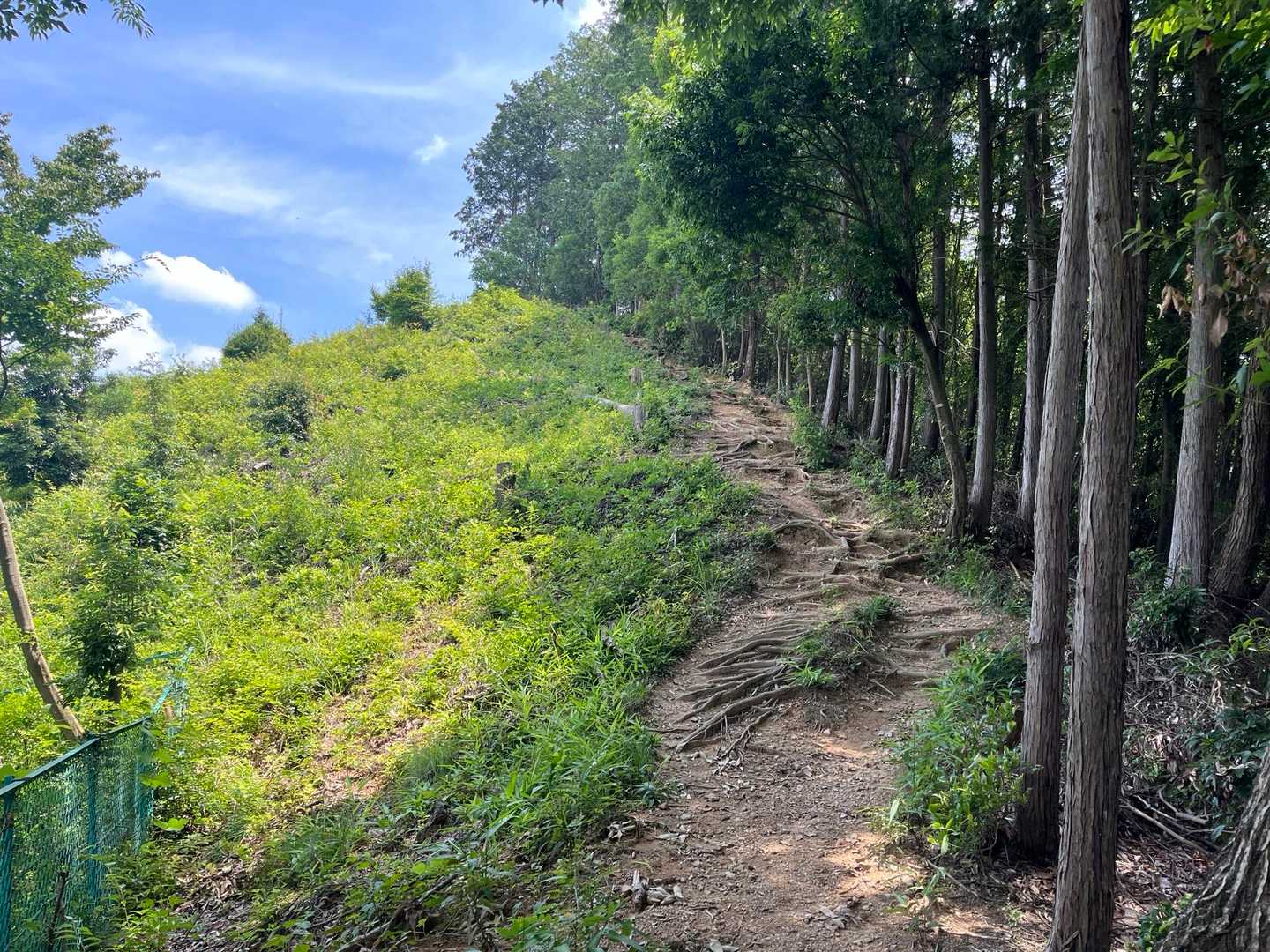 住宅が横に見えるのですが、下山前に最後のひと登り。
景色がいいとあったのでヨロヨロしながら頑張りました。