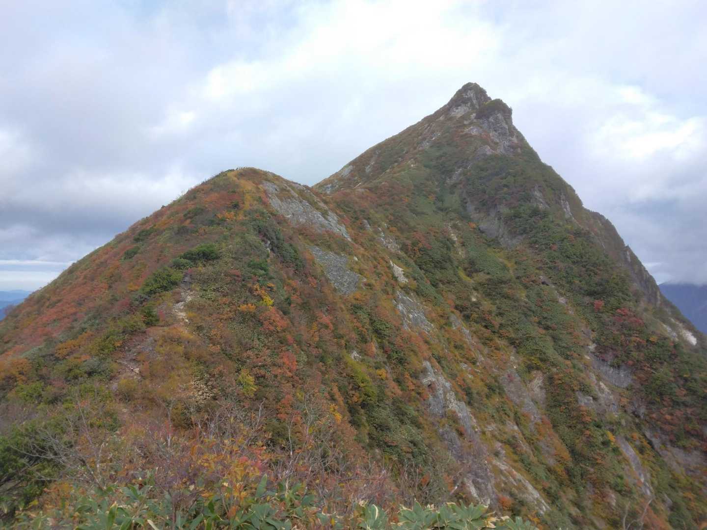七つ小屋山へ向かう登山道脇からこちらからは尖っています。