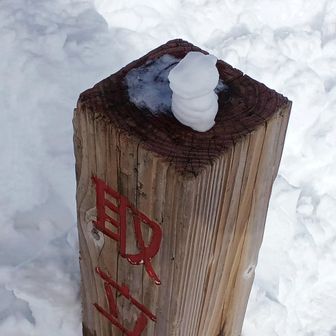 頂上標柱にいつの間にか置かれてた恐竜のオブジェ♪