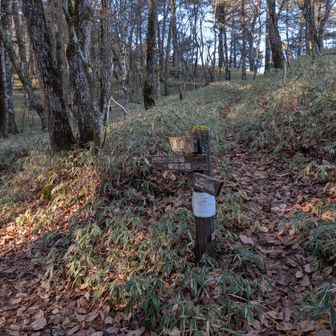 上の方の道ですね