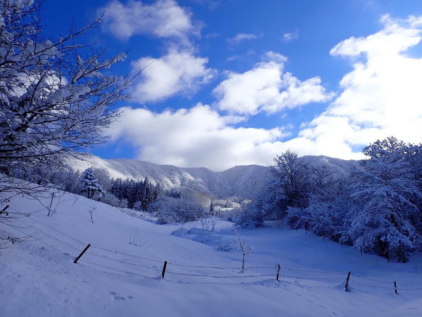 瀧山 往復コースの写真