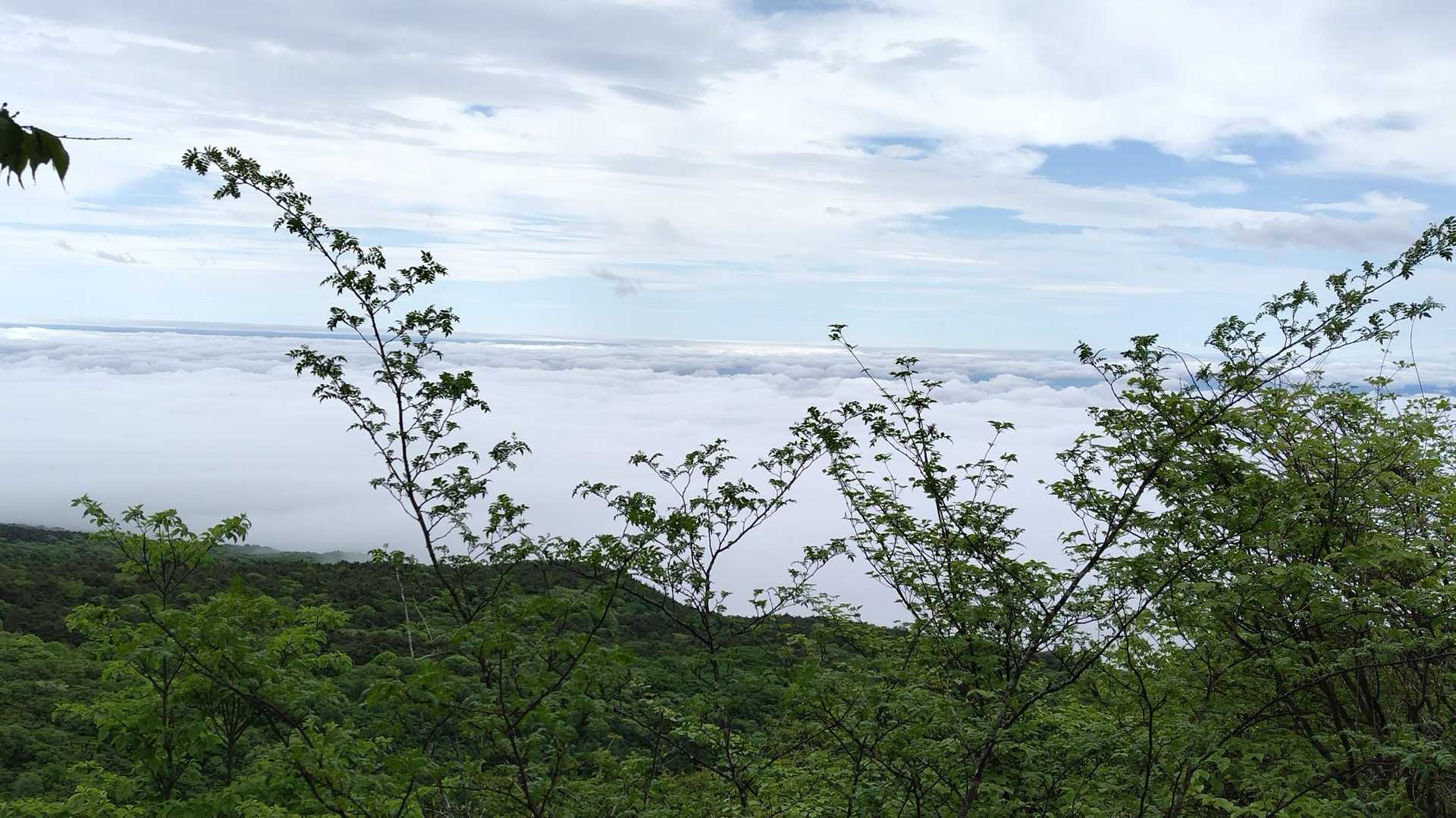 モコモコ雲海☁️☁️