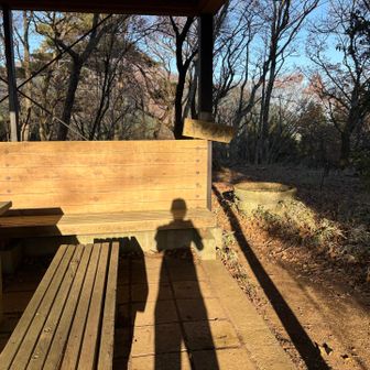 東屋からラストスパート
走っているときドリンクホルダーのペットボトルの音が気になるかも…🧐