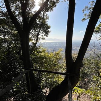 木の間から👀
後は舗装路をテクテク帰って終了のつもりが💦