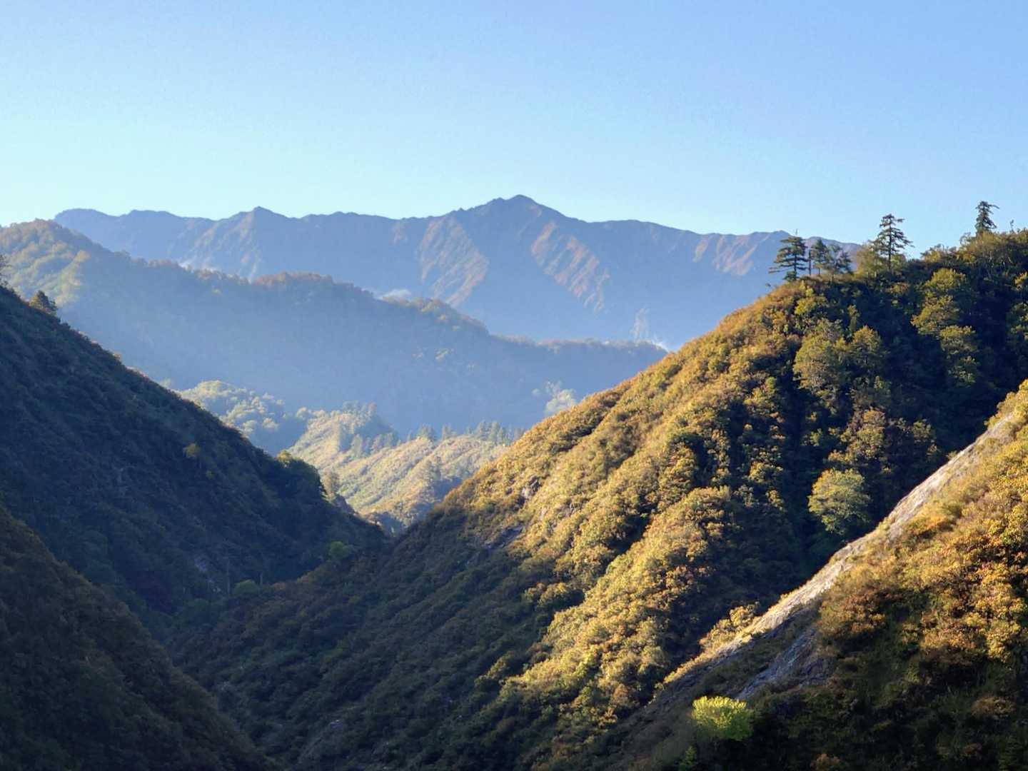 眺望良し✌
荒沢岳を望む👀