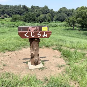 登頂🗻