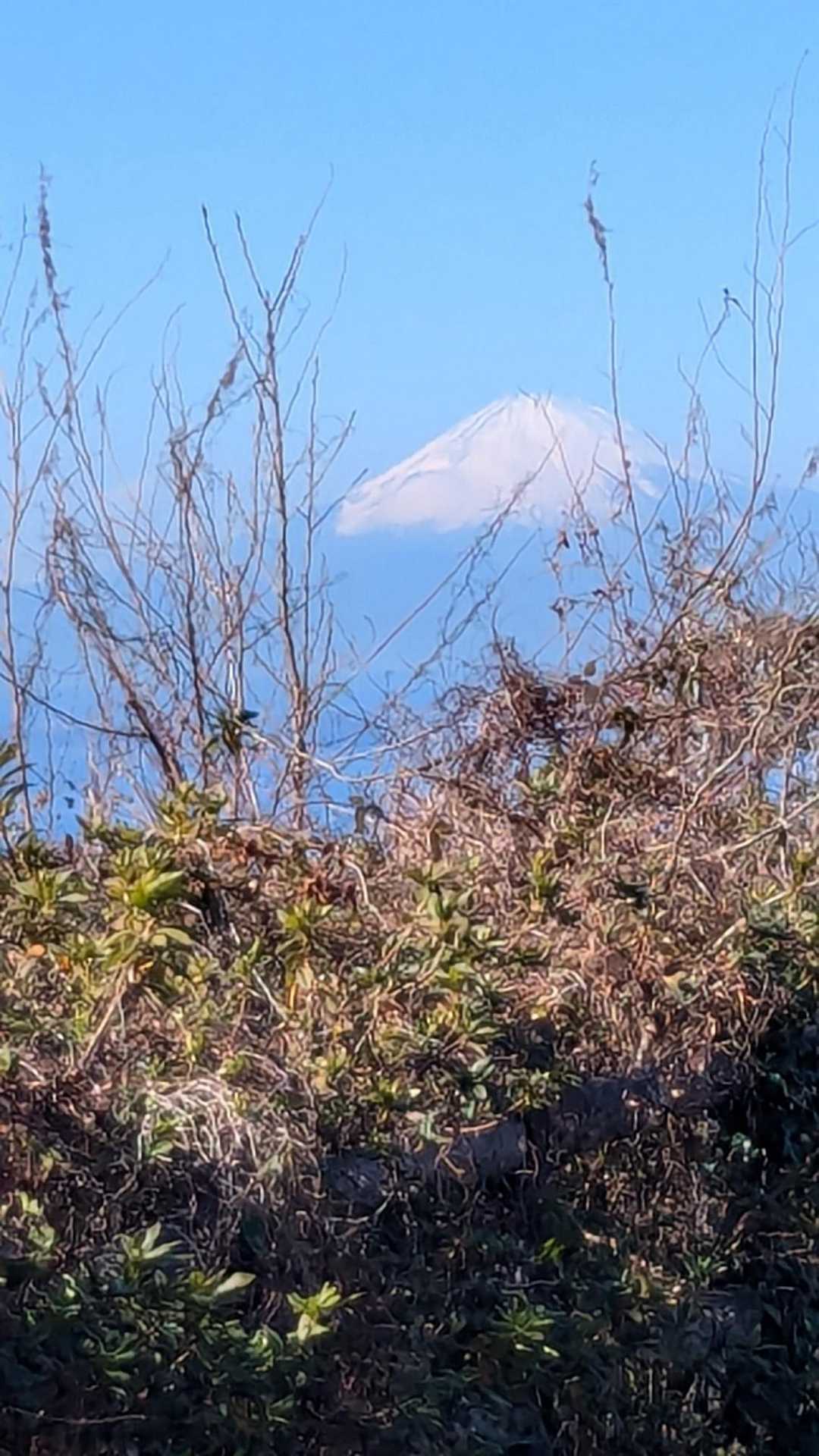 富士山