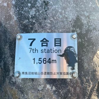 7合目👀歩荷さんの妖怪がいた！
ここは岩に座って休憩できるよ♪