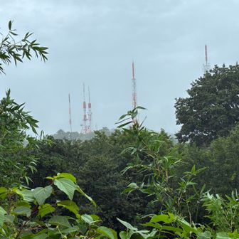 白鳥城跡からテレビ塔