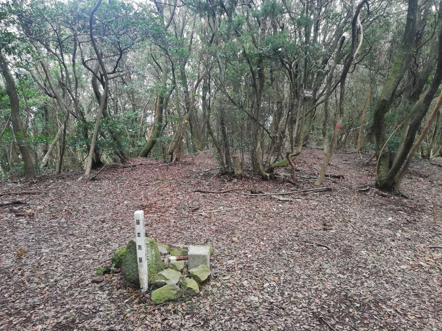 弥谷山山頂と三角点△
