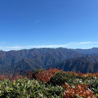 左のとんがり朳差岳、北股岳、飯豊本山、大日岳までバッチリの眺め✨
「小屋が見えますよ」と近くにいた方が双眼鏡を貸してくださり☺️飯豊連峰の小屋がポコポコ見えました。
