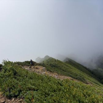 ガスガスなんで爺ヶ岳はやめて下山