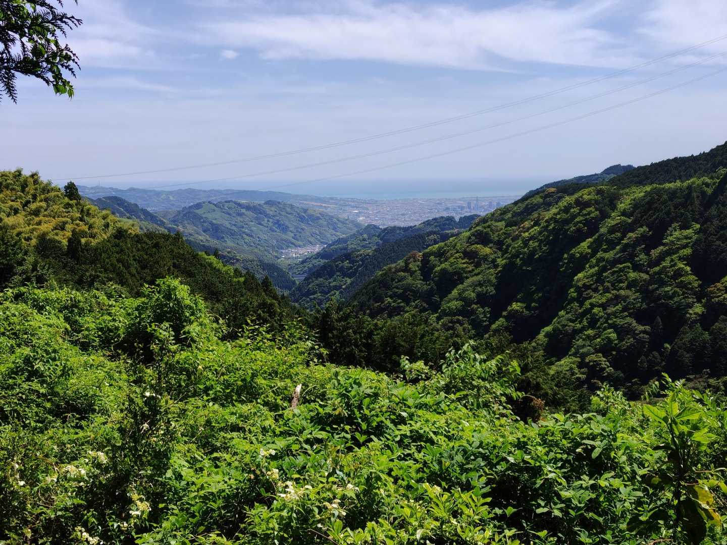 東静岡のビル群見えた