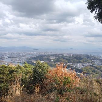 岩国城山展望地から撮る。