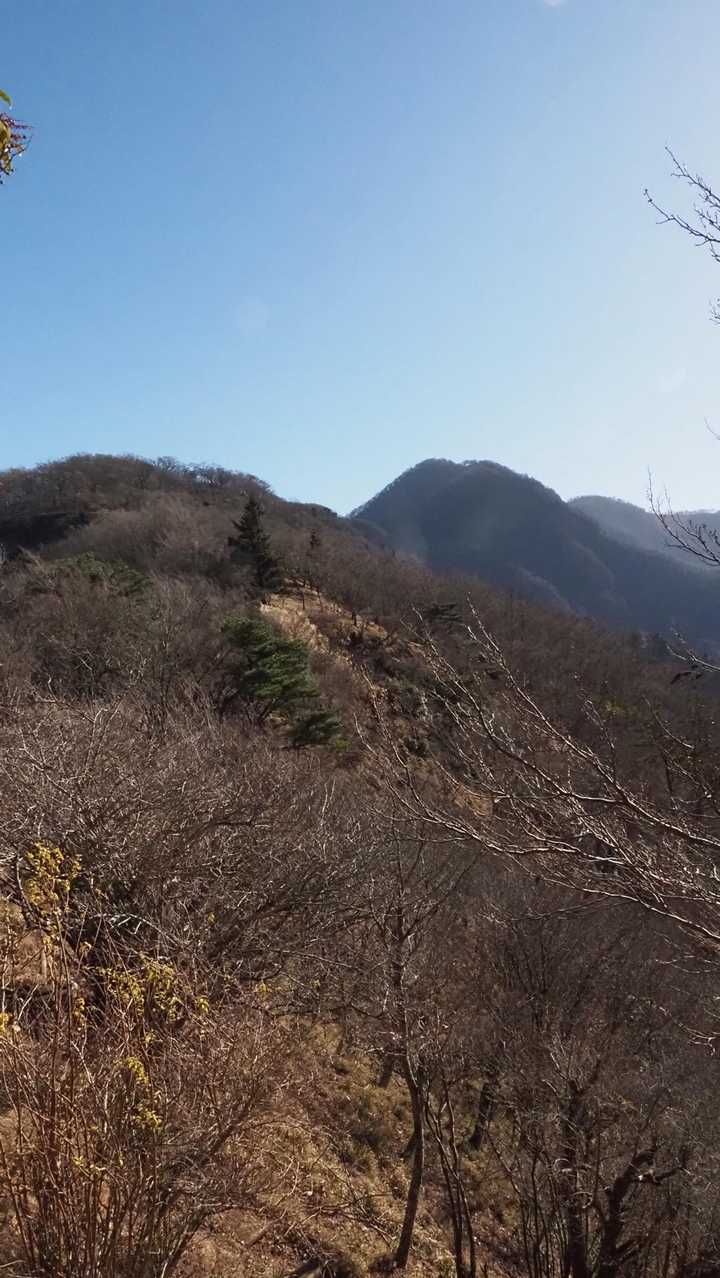 西丹沢縦走（西丹沢VC〜犬越路〜檜洞丸〜箒沢橋） の写真 17