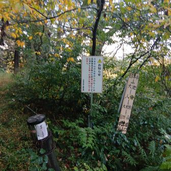 登山口　危険箇所多数で五泉方面には抜けられないとな？　こっち側も十分危険だったけどね