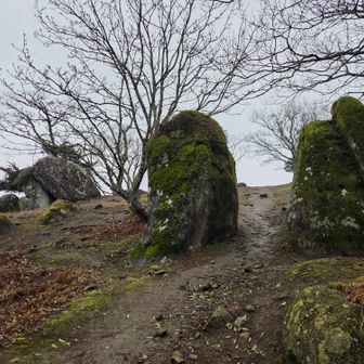 あの間を通るのか…