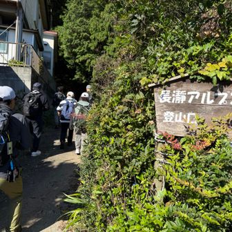 長瀞アルプス登山口から登ります⛰️
