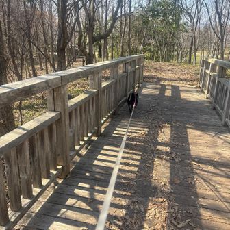 良い散歩道です