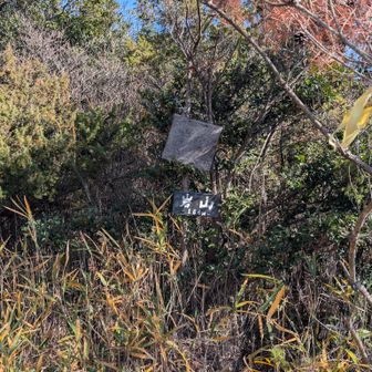 ぴったりの名前