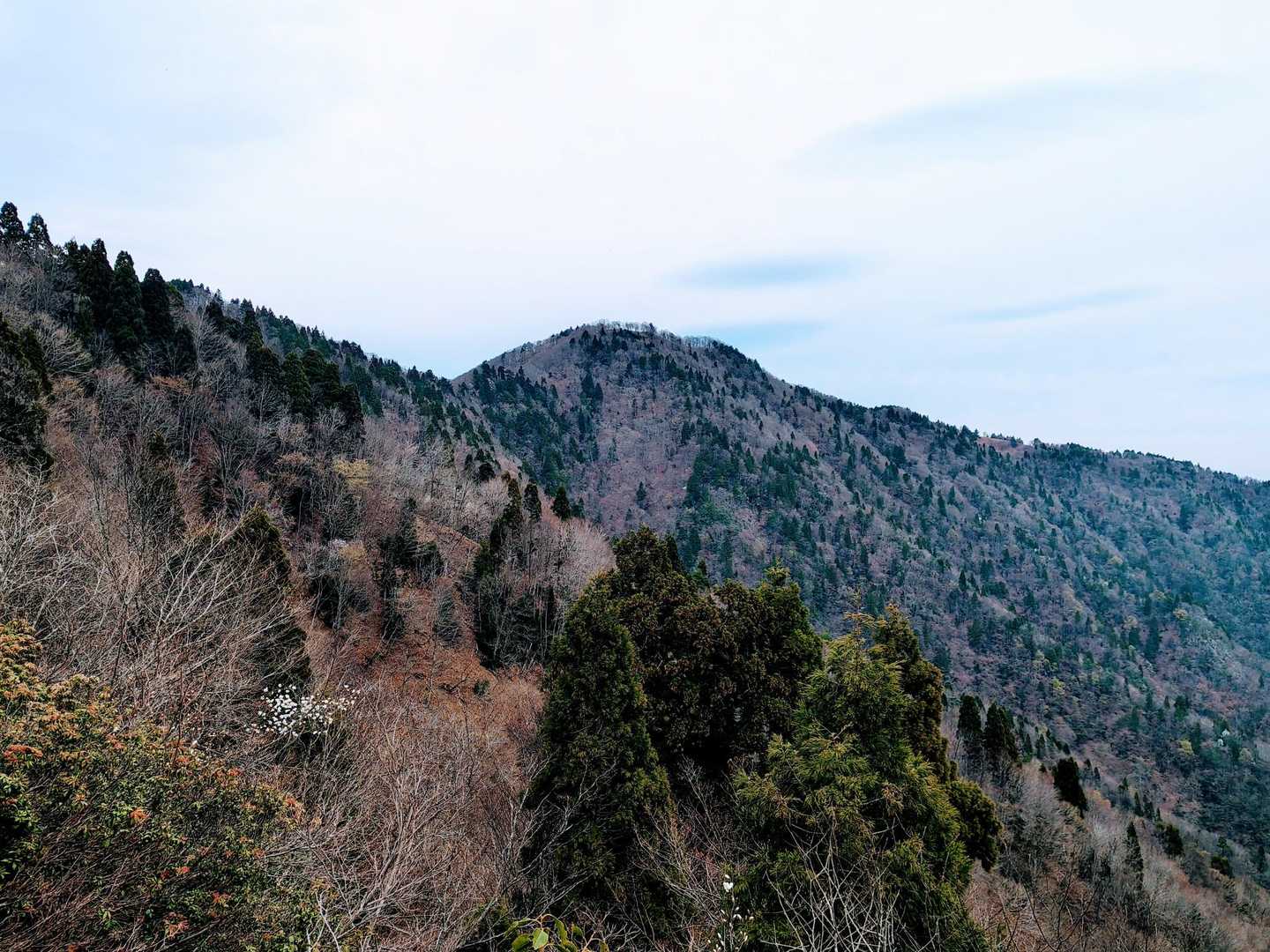 百里ヶ岳が見えて来ました⛰️
