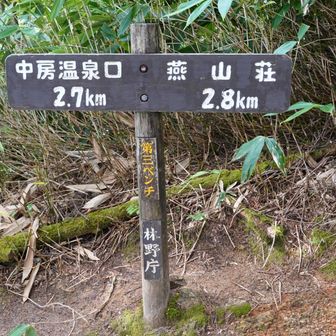 第三ベンチ。距離的にはほぼ半分