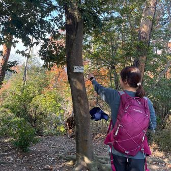 サントリー山🍺