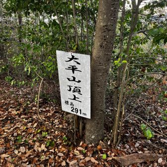 大平山 到着。私の240座目。