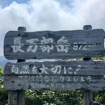 到着❗