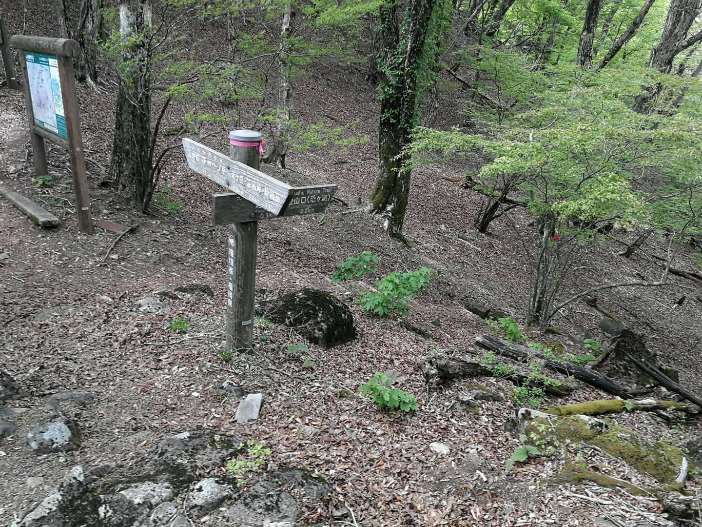 求菩提資料館前バス停-釈迦岳-犬ヶ岳-世須岳-求菩提山 周回コースの写真