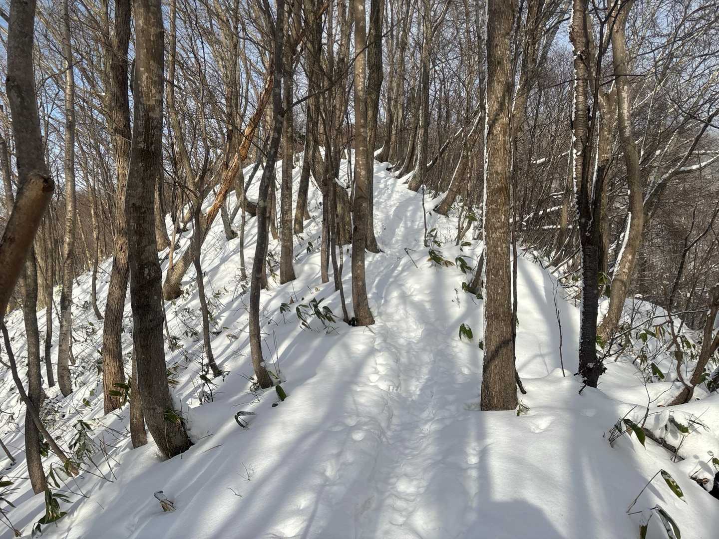 ここ数日は新たな積雪もなくトレースがくっきり
日差しもあり暖かな登山