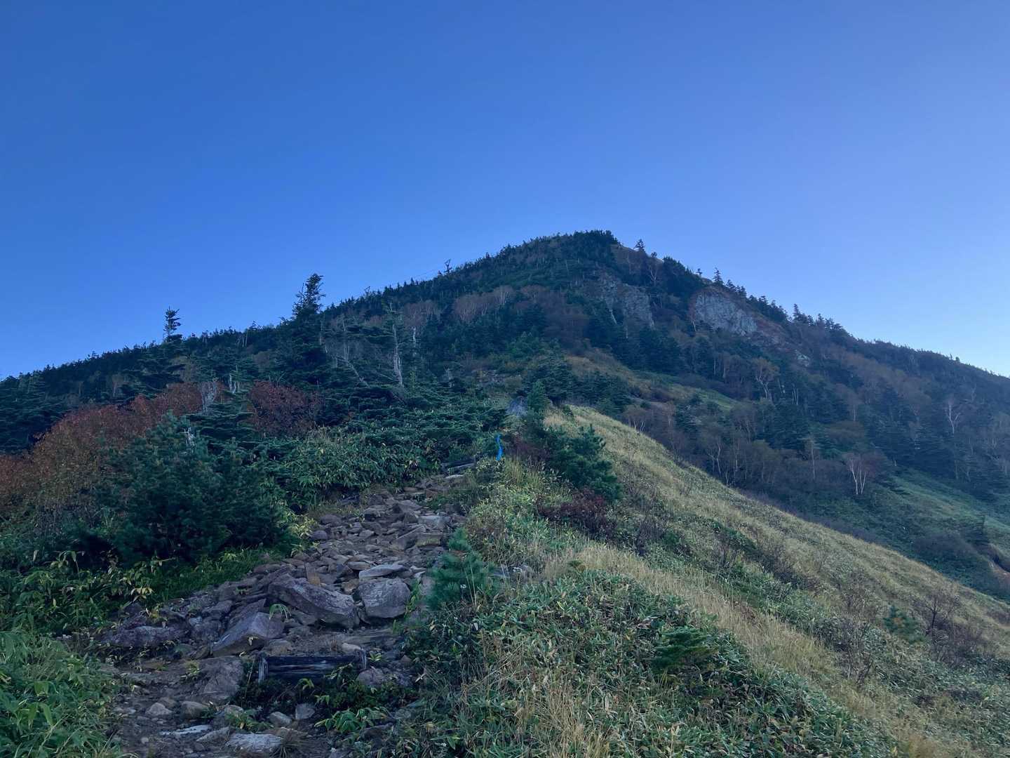 こう見ると立派な山です⛰️