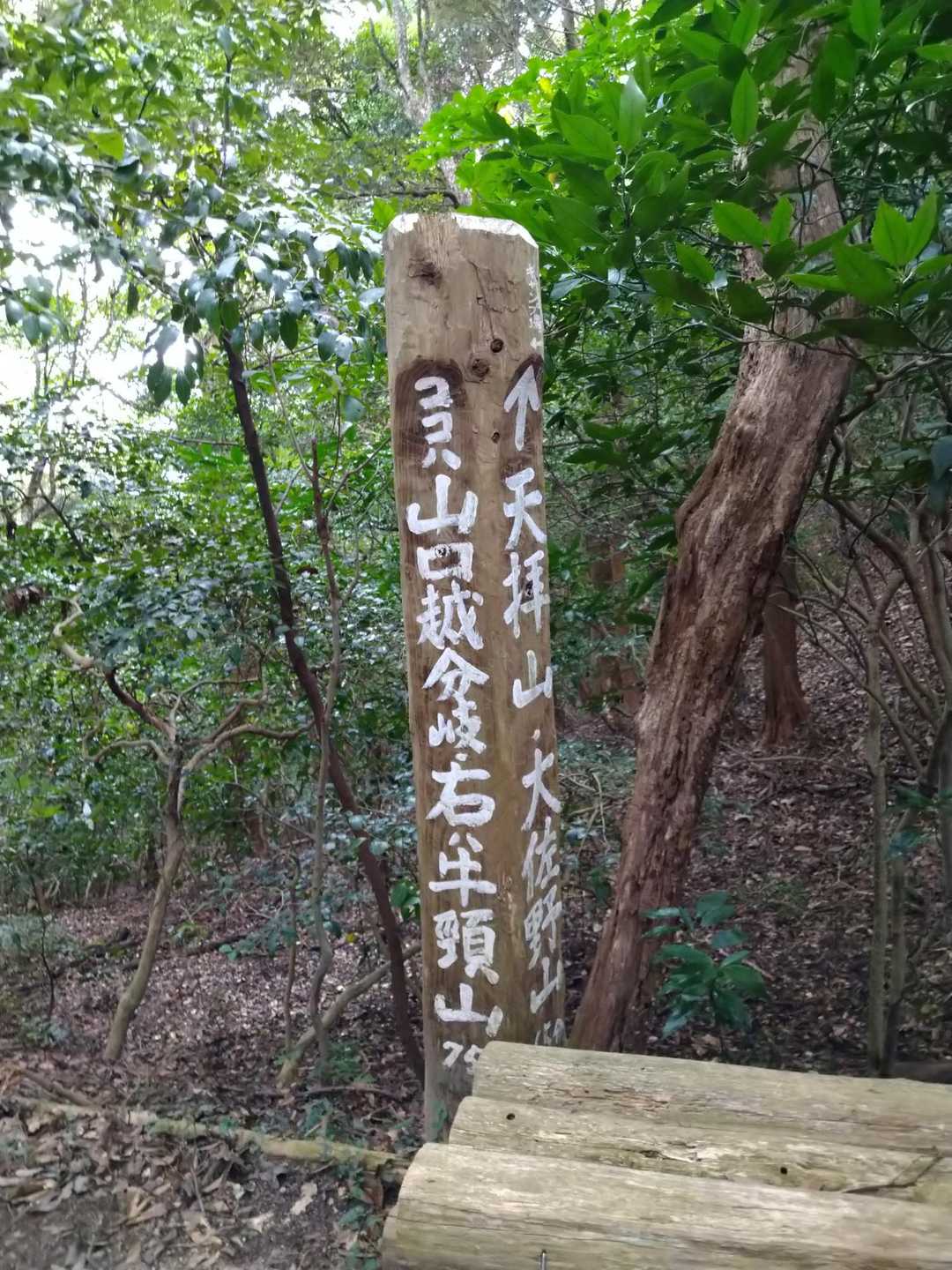 分岐点案内✨