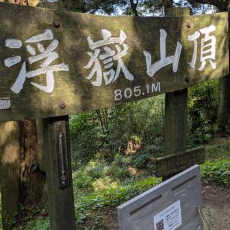 ここまではすぐ