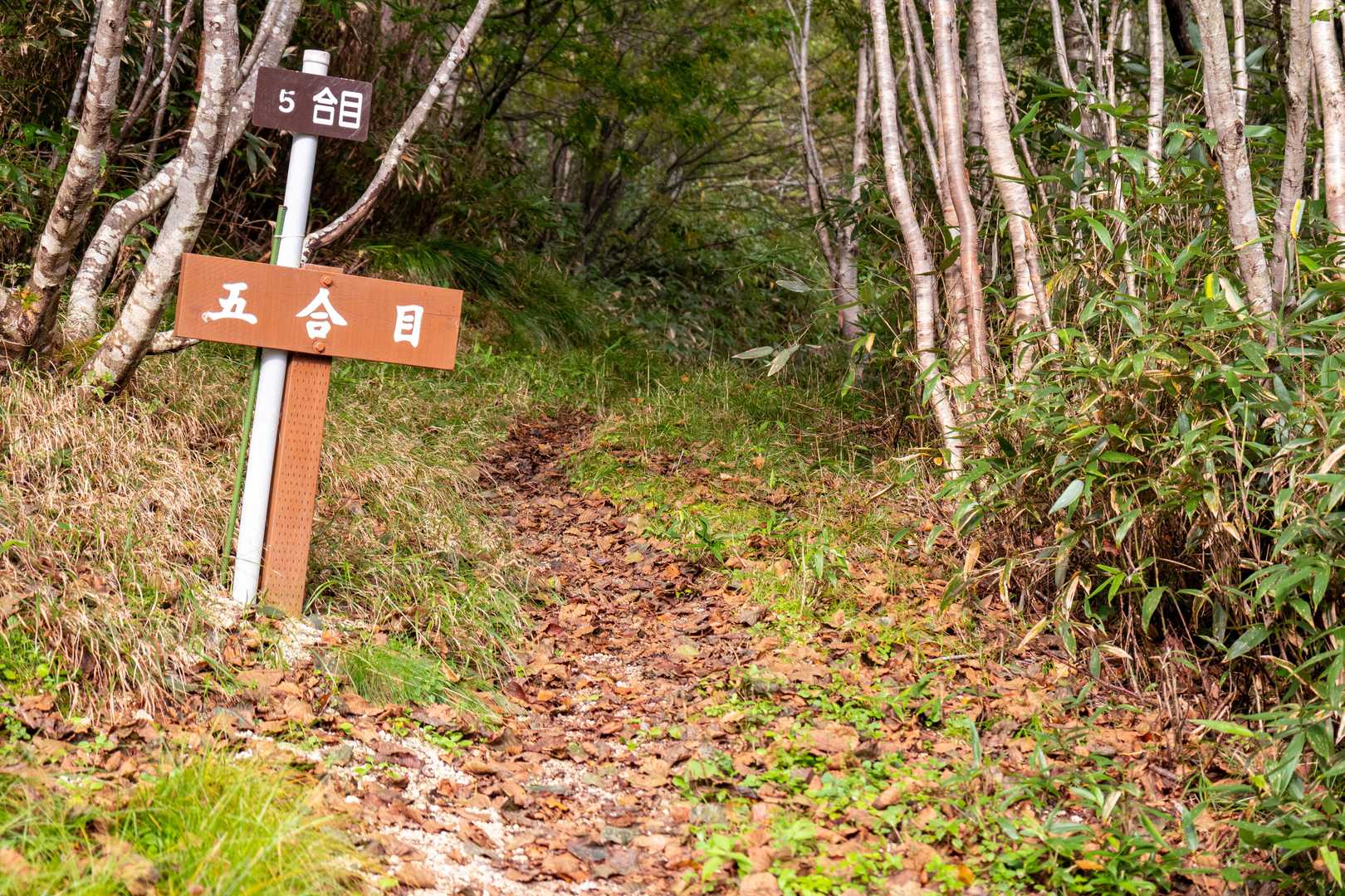 まだ、５合目だった😲
