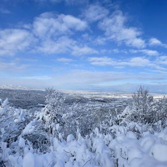 思ったより晴れ