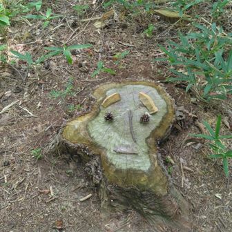 みふかたのずみ