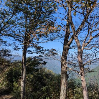 山頂からの奥武蔵の西方向。チラッと見えてる山はどこだろ。ピークは歩いているはず。