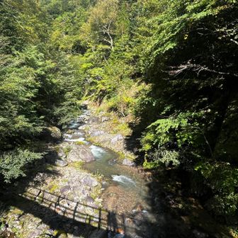 いいお天気。
橋の陰がくっきり
