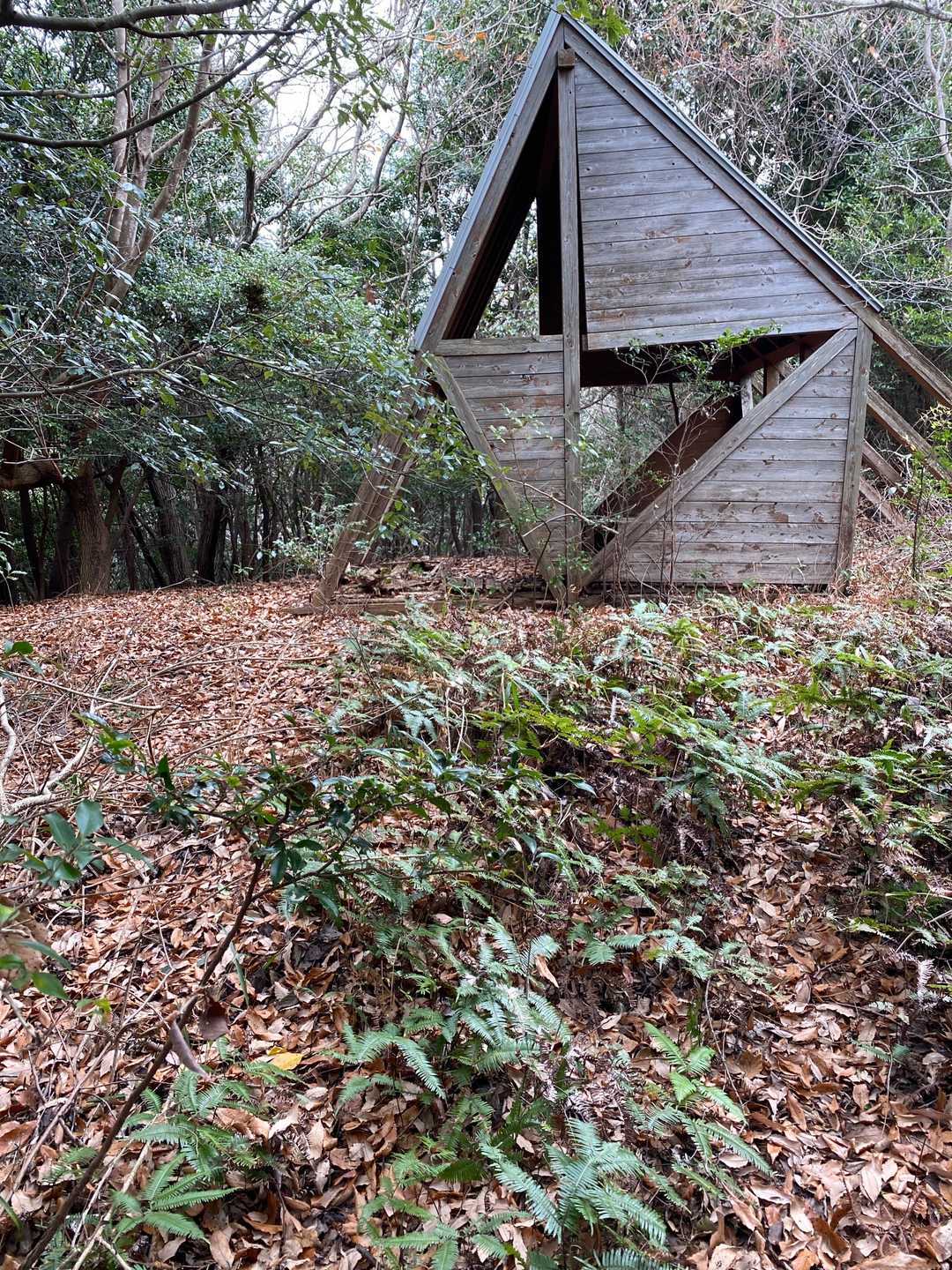 YAMAPとにらめっこしながら、なんとか山頂に到着❗️朽ち果てた小屋が裏淋しい。山頂標識は見あたらないなあー😮‍💨