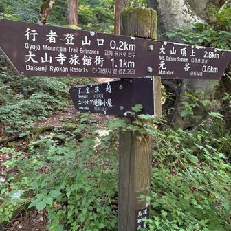 ユートピア小屋に行く分岐　