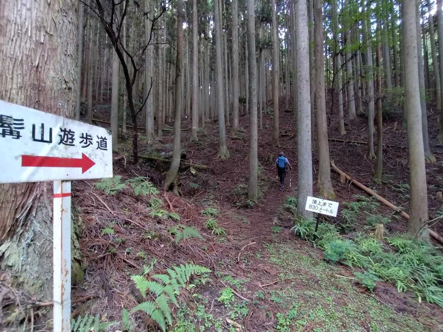 髯山 往復コースの写真