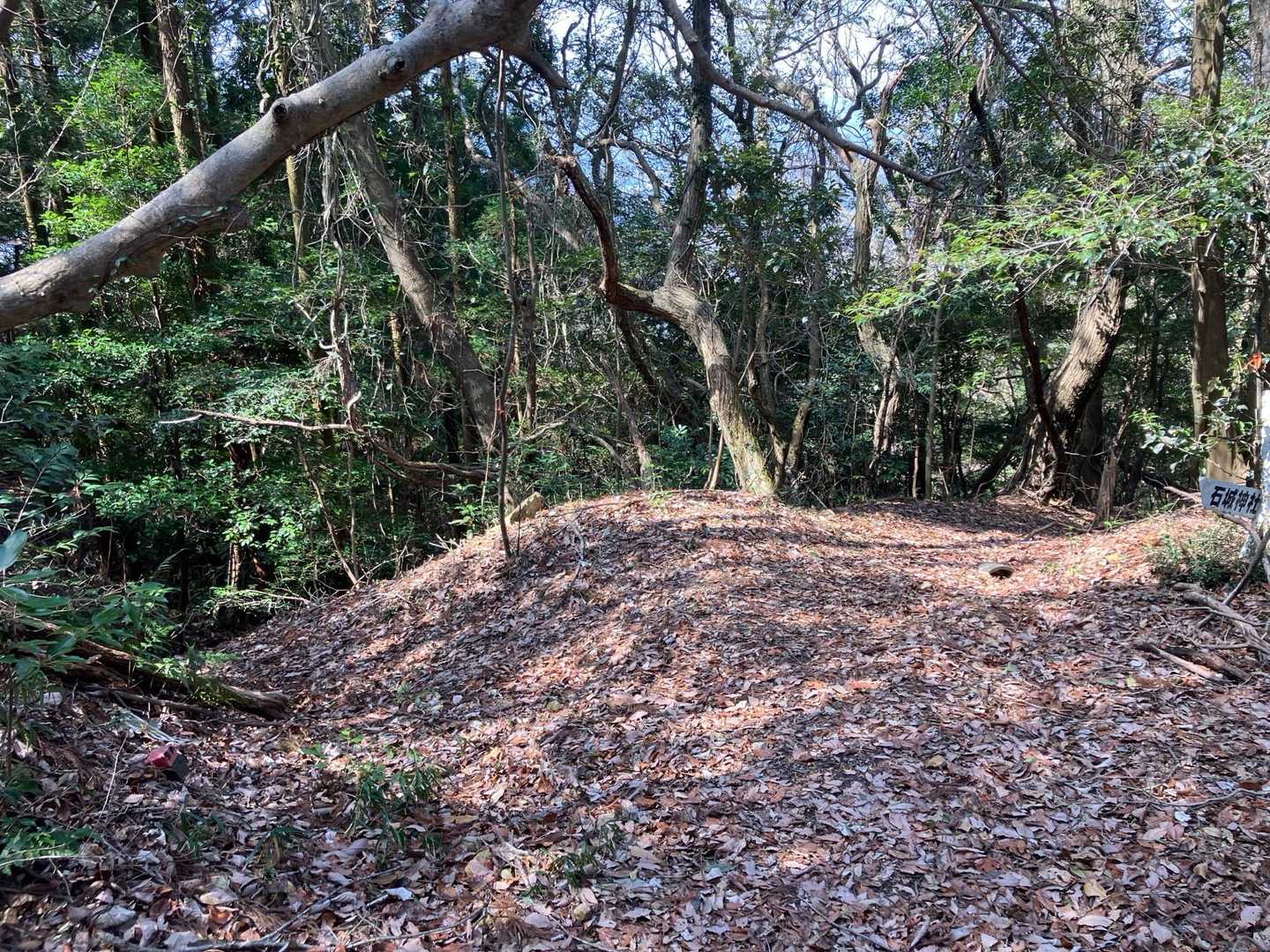 さあピークエリアから下山します、帰りは左へ⬅️