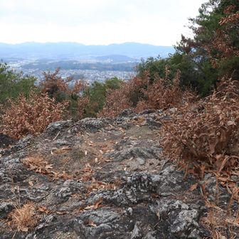 この岩の上でランチにします