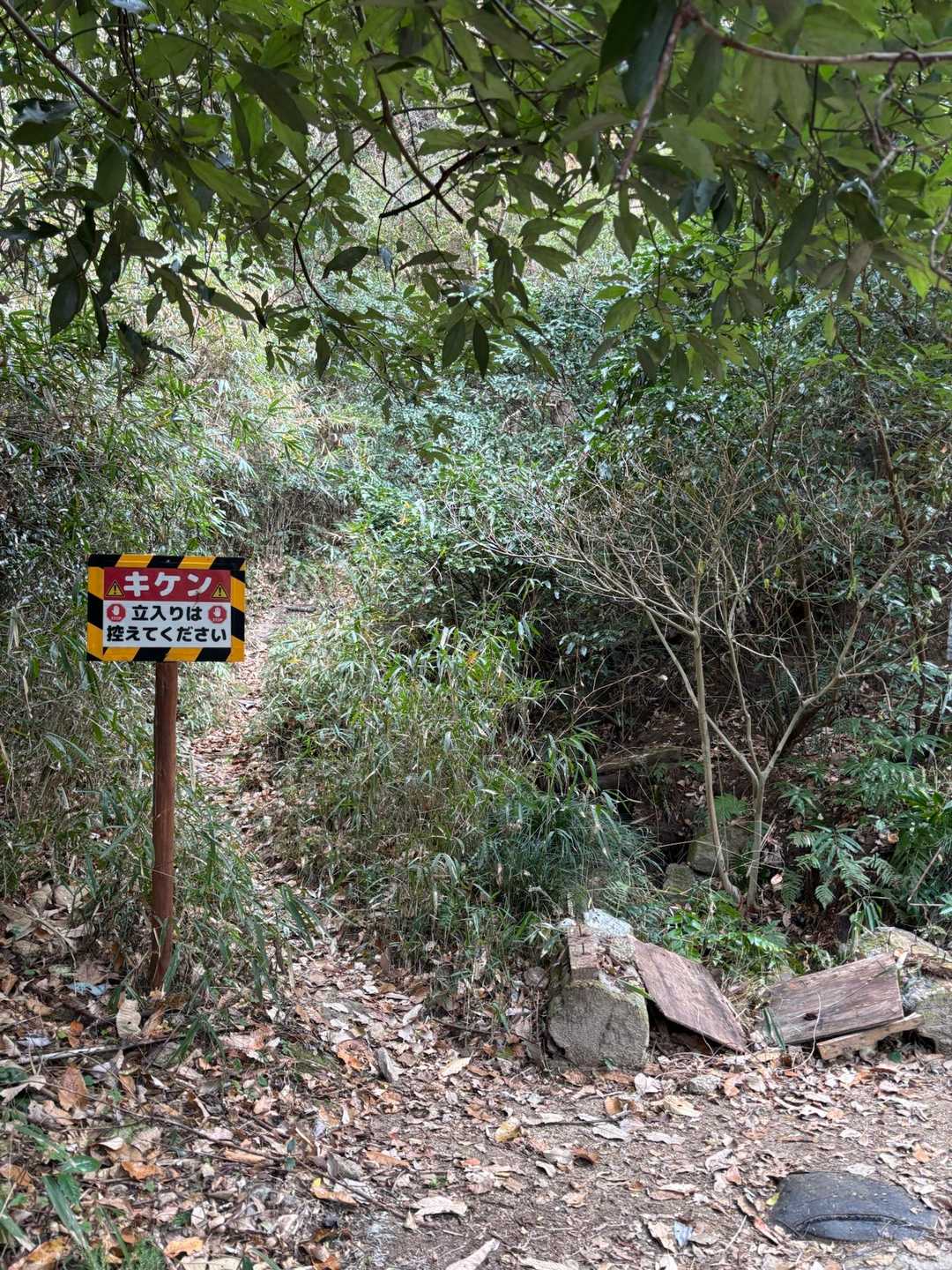 竹林コースが通れなくなってる