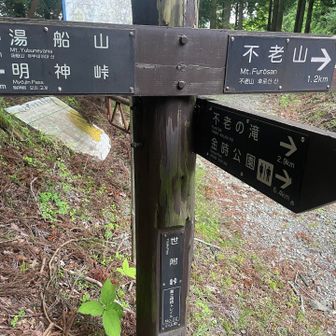 世附峠到着です
一休みしてお昼にします