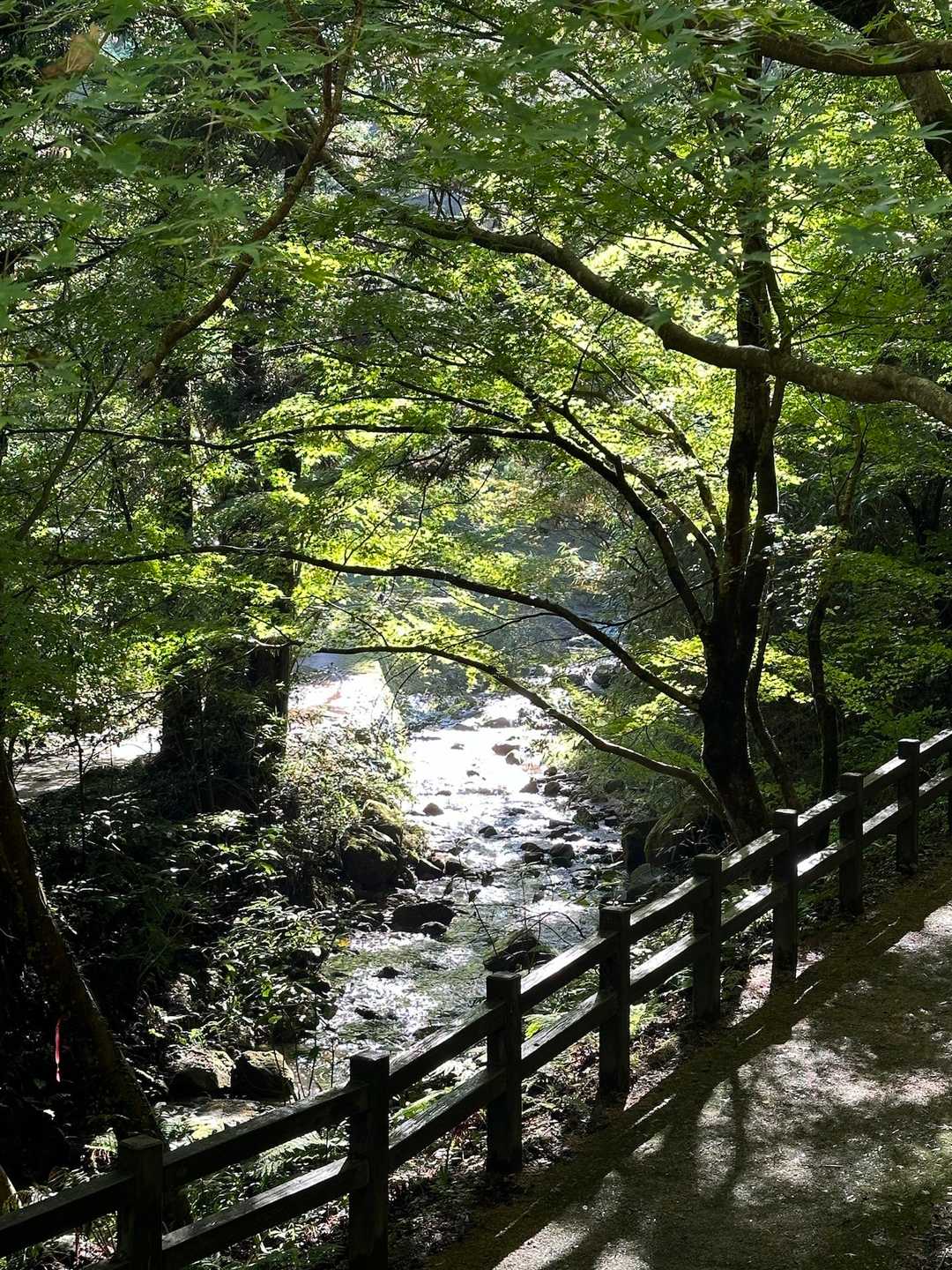 川がきれい