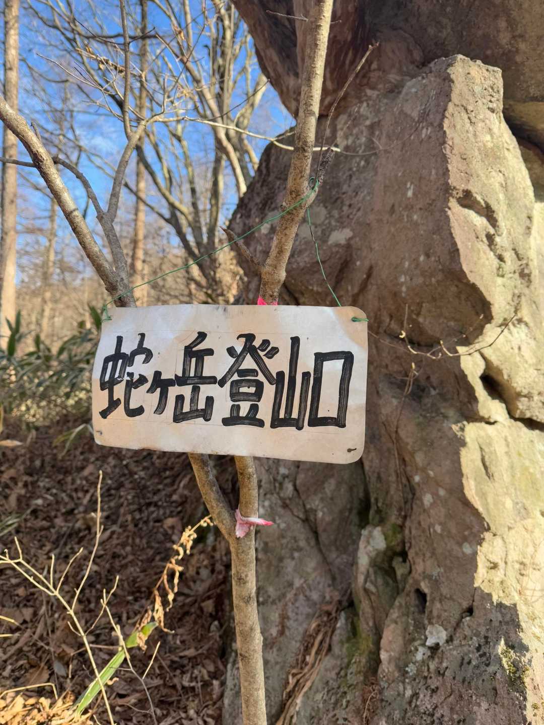 今年は巳年！
ってことで

巳の山を調べたら

なんだーグンマにあるやん🎵
