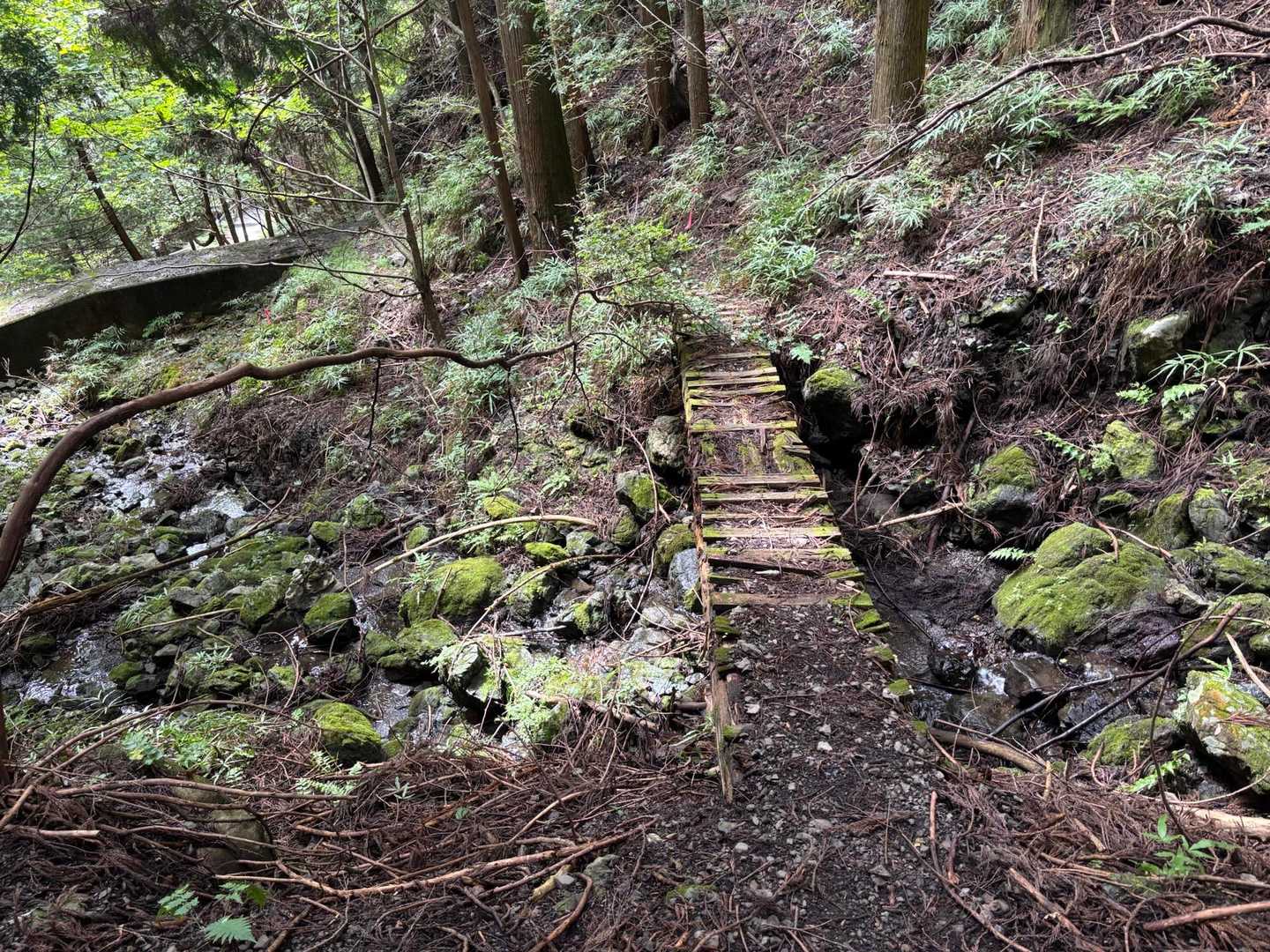 道の駅 大滝温泉-御岳山-杉ノ峠 周回コースの写真