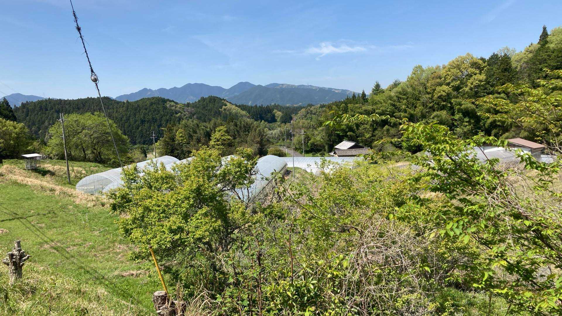 のどかですなぁ